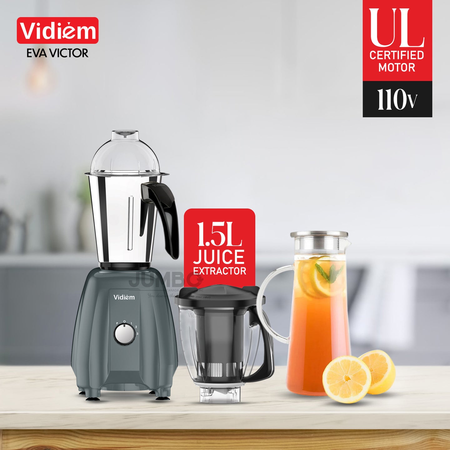 Vidiem Eva VICTOR 650W / 110V Stainless Steel Jars - Indian Mixer Grinder, Spice & Coffee grinder for use in Canada / USA