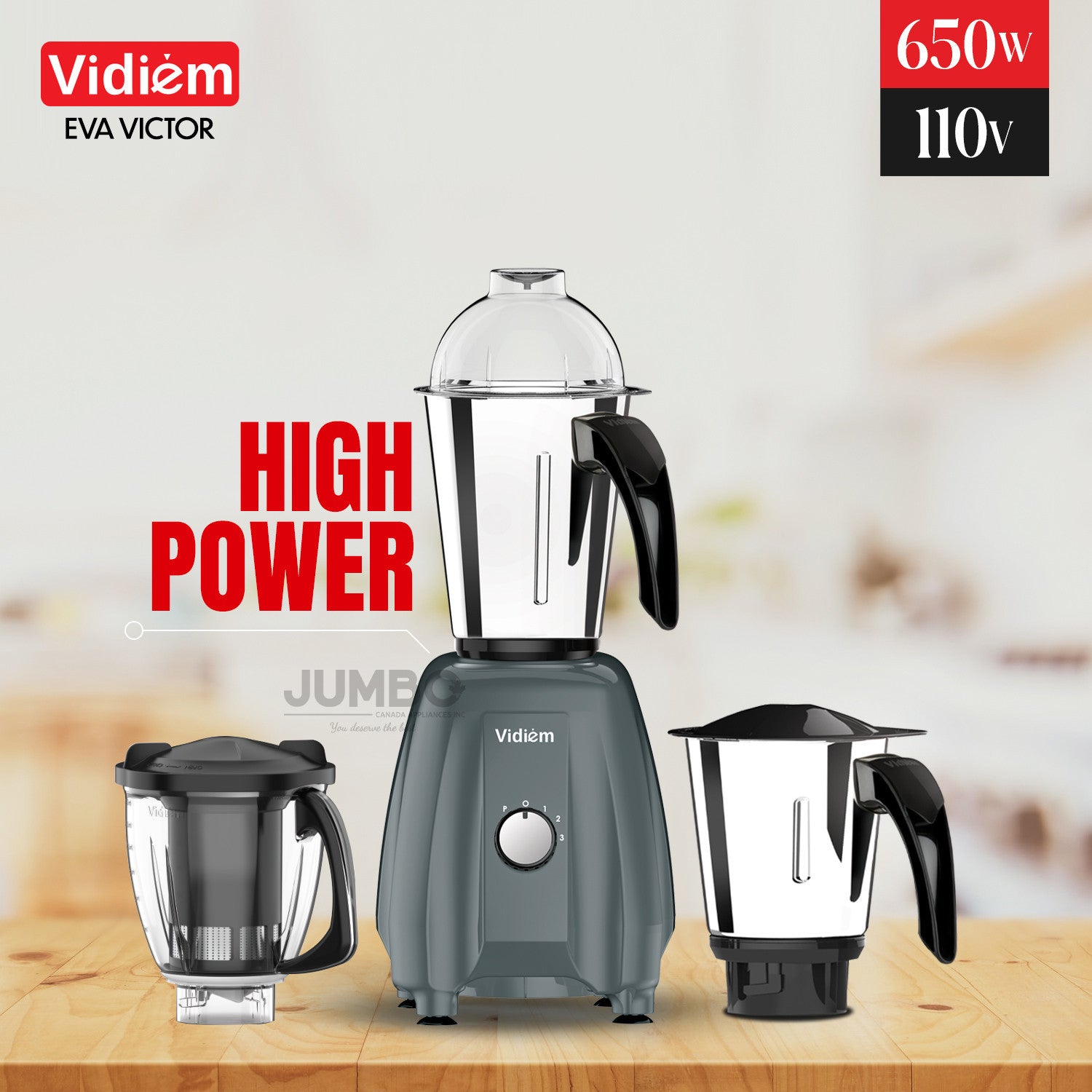 Vidiem Eva VICTOR 650W / 110V Stainless Steel Jars - Indian Mixer Grinder, Spice & Coffee grinder for use in Canada / USA