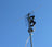 Focus Antennas HD Long Range Indoor/Outdoor HDTV Antenna (BEST-2V) ***30 Days Money Back Warranty***