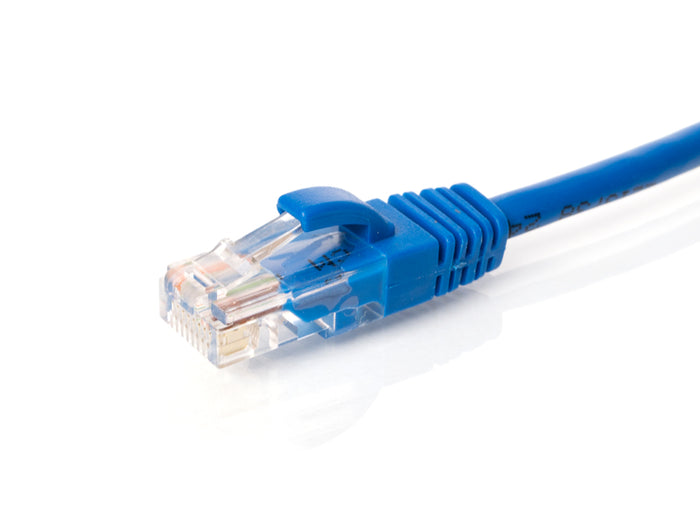 1 ft (30 cm) CAT6 500 MHz UTP Network Cable (Blue)