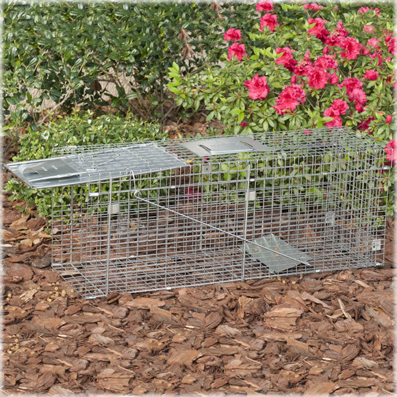 Live Animal Trap